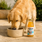 Pippa's Hundelimo Hydrate