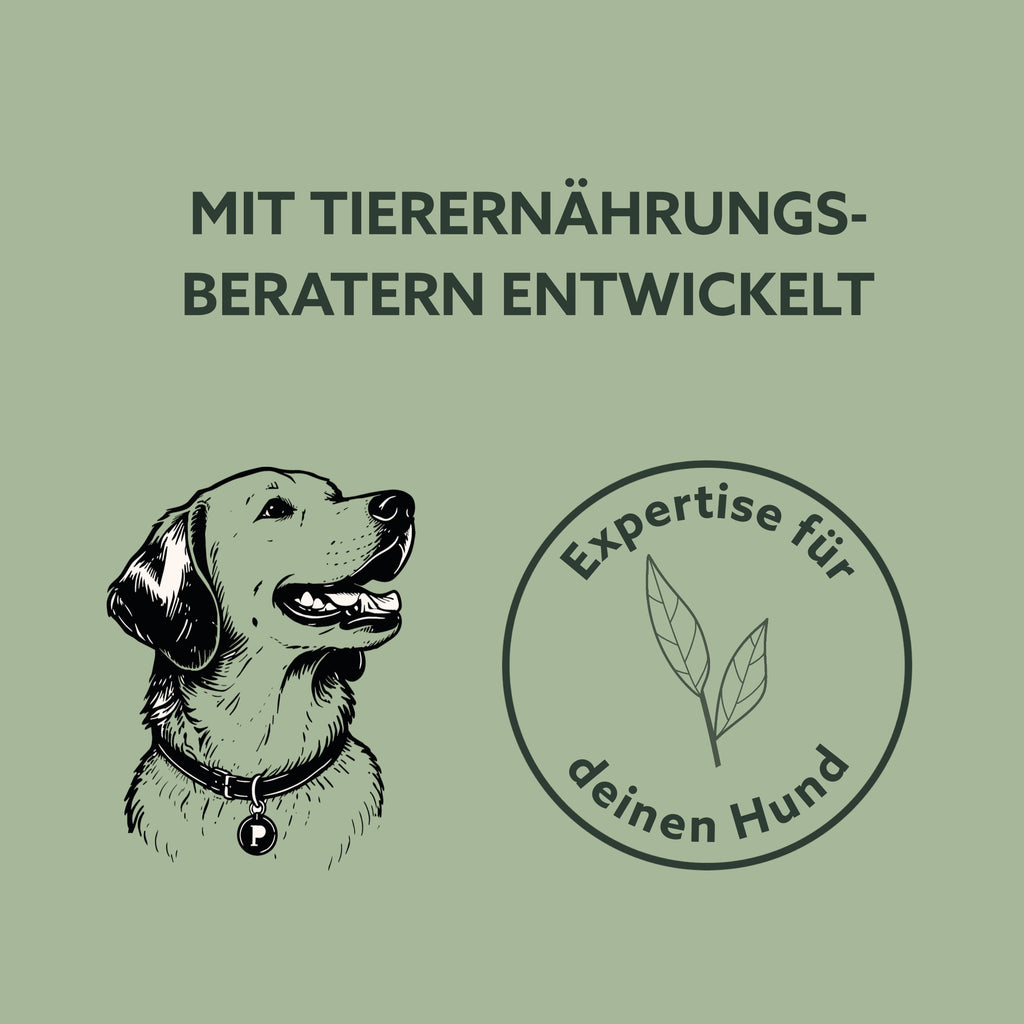 Pippa's Hundelimo Balance Ergänzungsfuttermittel mit Illustration eines Hundes und Expertise-Siegel auf grünem Grund
