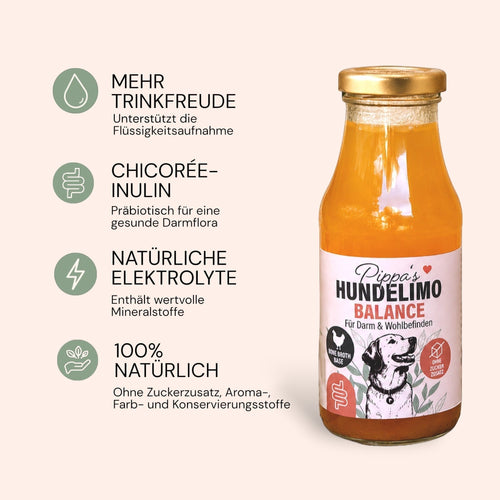 Pippa's Hundelimo Balance Knochenbrühe für Hunde mit Karotte und Chicorée zur Unterstützung der Verdauung
