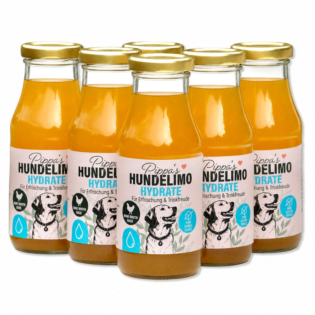 Sechs Flaschen Pippa's Hundelimo Hydrate Knochenbrühe für Hunde mit natürlichem Huhn, Karotte und Sellerie