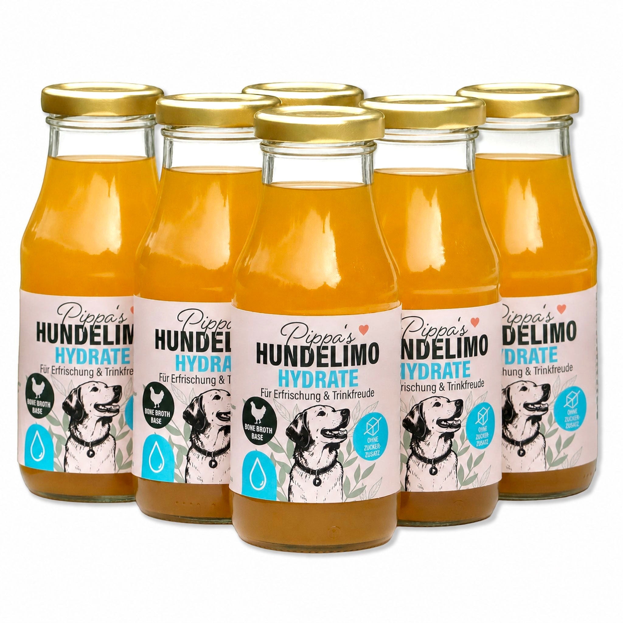 Sechs Flaschen Pippa's Hundelimo Hydrate Knochenbrühe für Hunde mit natürlichem Huhn, Karotte und Sellerie