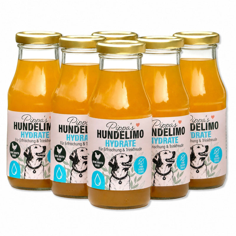 Sechs Flaschen Pippa's Hundelimo Hydrate Knochenbrühe für Hunde mit natürlichem Huhn, Karotte und Sellerie