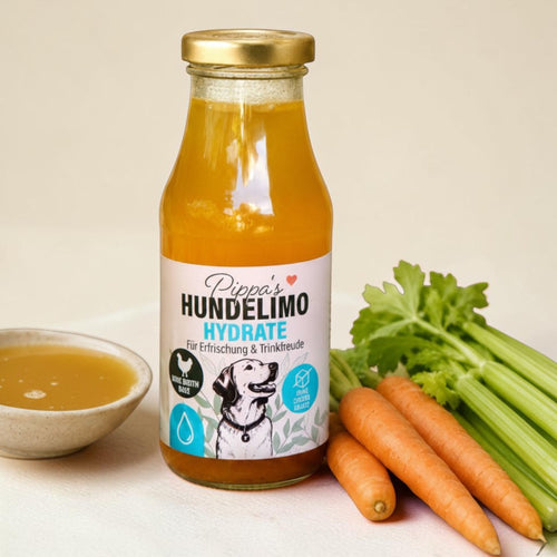 Pippa's Hundelimo Hydrate Knochenbrühe für Hunde in Glasflasche mit Karotten, Sellerie und Knochen als Dekoration