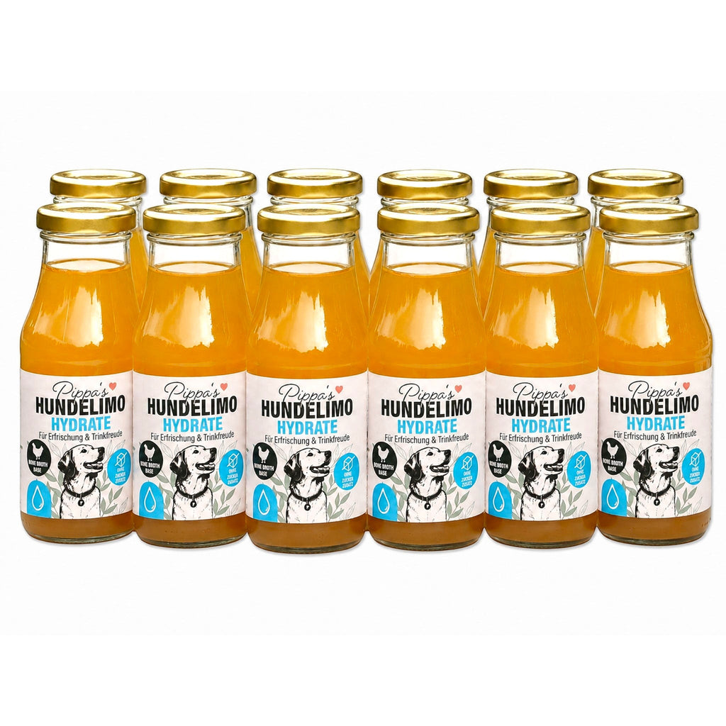 Pippa's Hundelimo Hydrate Knochenbrühe für Hunde im 12er Set, natürliche Erfrischung in Glasflaschen