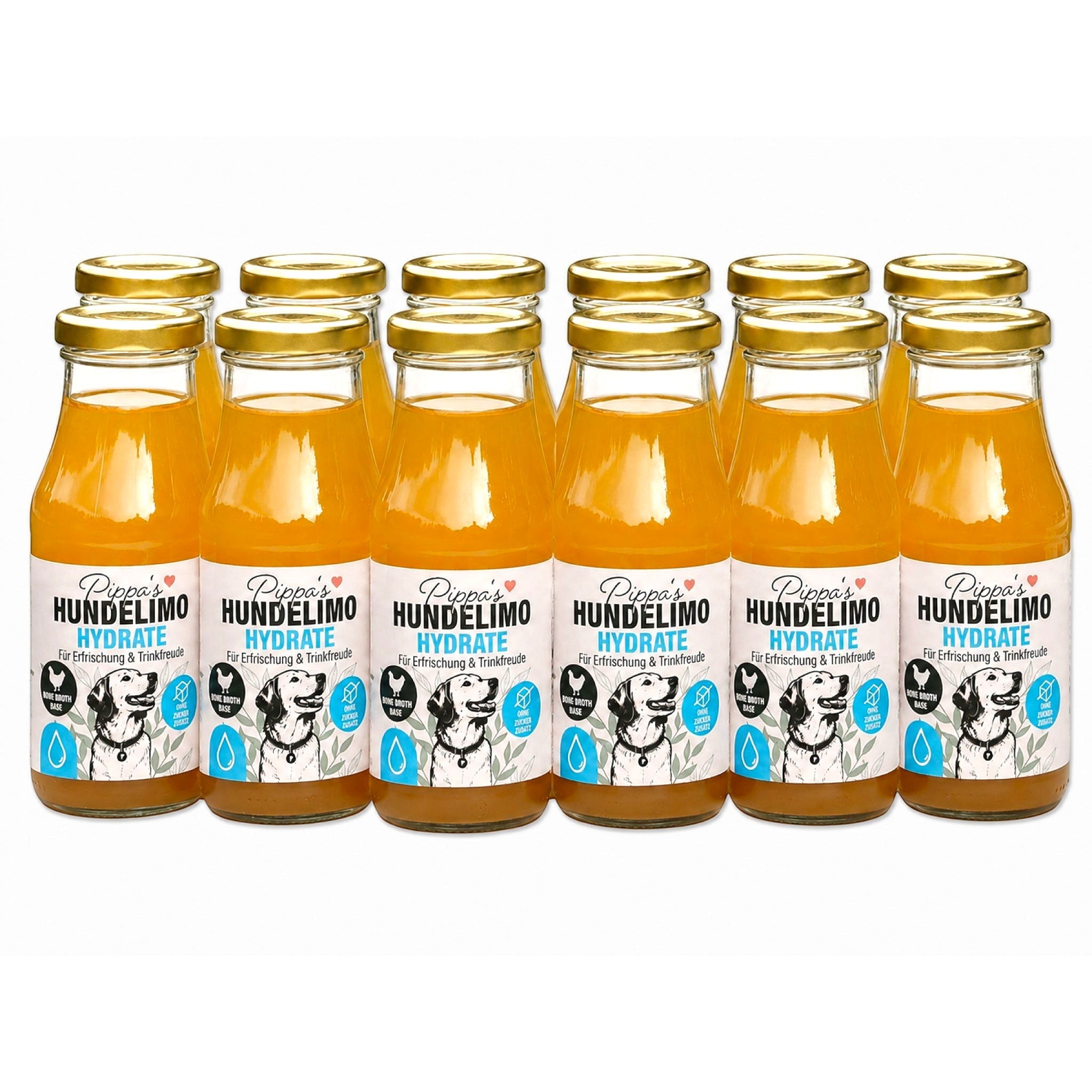 Pippa's Hundelimo Hydrate Knochenbrühe für Hunde im 12er Set, natürliche Erfrischung in Glasflaschen
