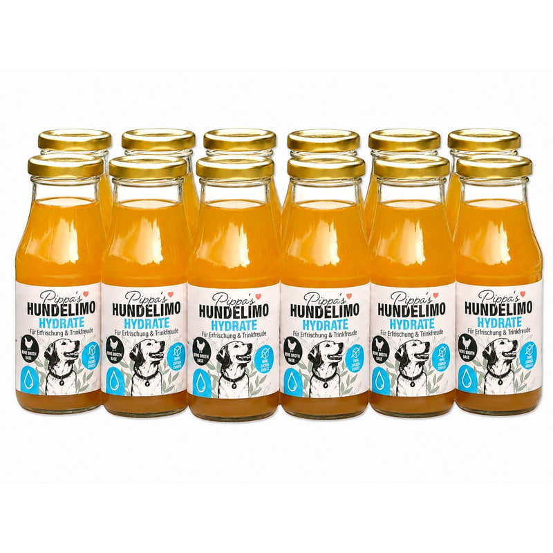 Pippa's Hundelimo Hydrate Knochenbrühe für Hunde im 12er Set, natürliche Erfrischung in Glasflaschen