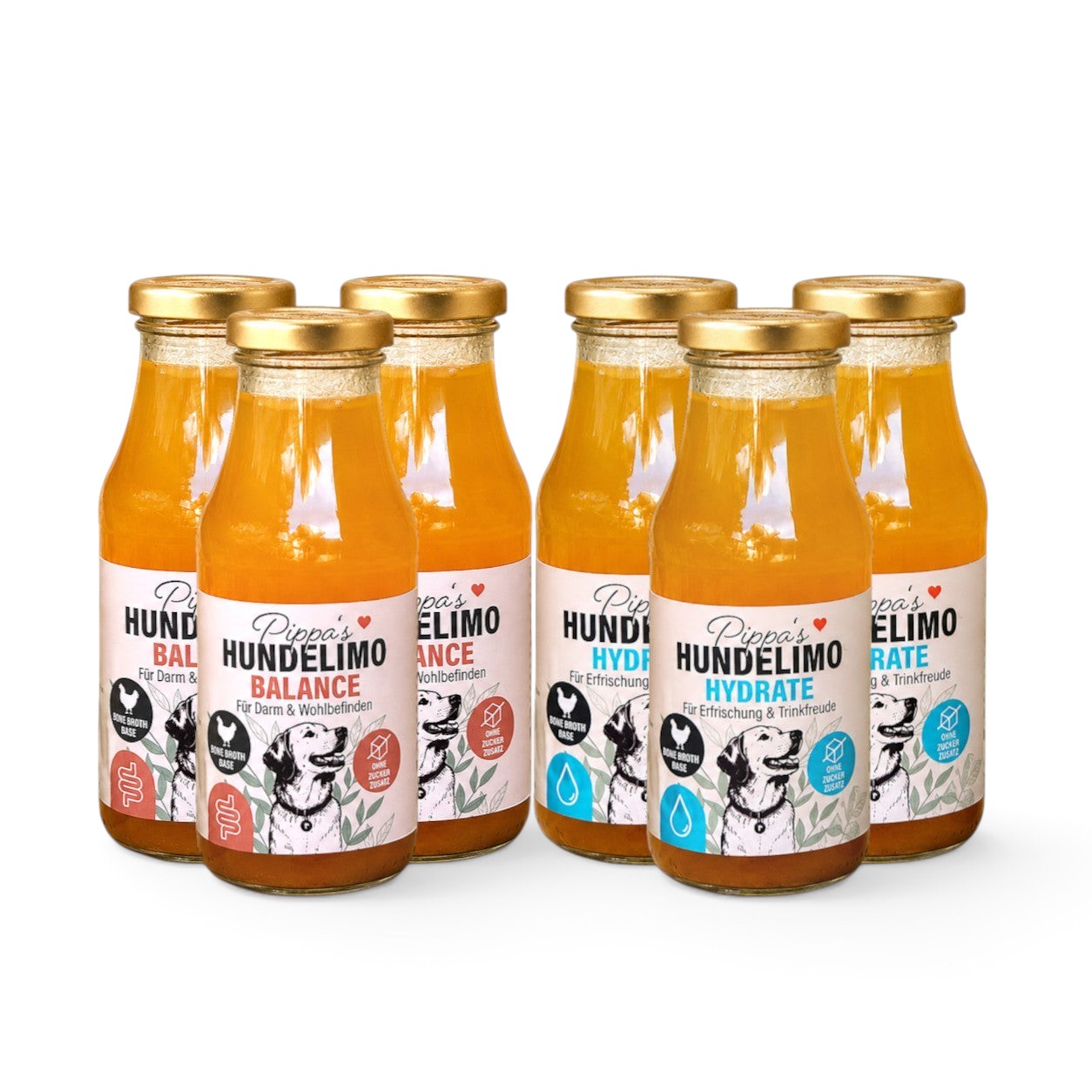 Pippa's Hundelimo Schnupper-6er Set mit drei Hydrate und drei Balance Knochenbrühe-Getränken für Hunde in Glasflaschen