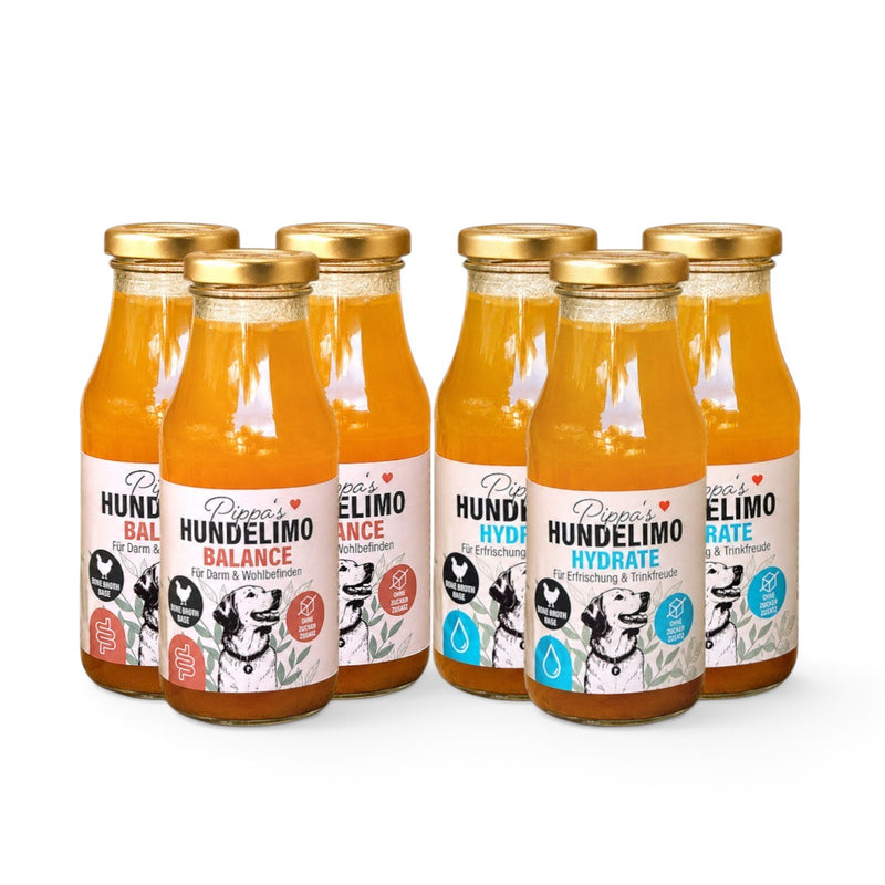 Pippa's Hundelimo Schnupper-6er Set mit drei Hydrate und drei Balance Knochenbrühe-Getränken für Hunde in Glasflaschen